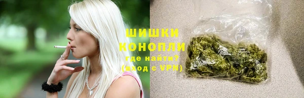 винт Дмитров