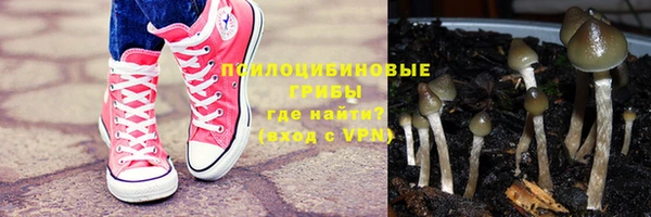 прущая мука Дмитриев