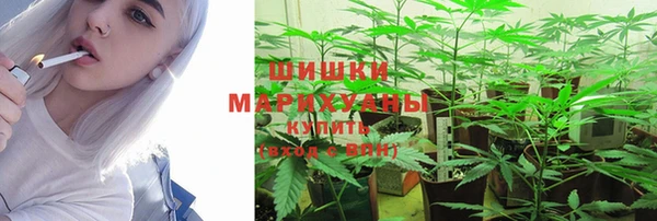 винт Дмитров